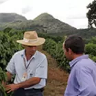 Nescafé Plan